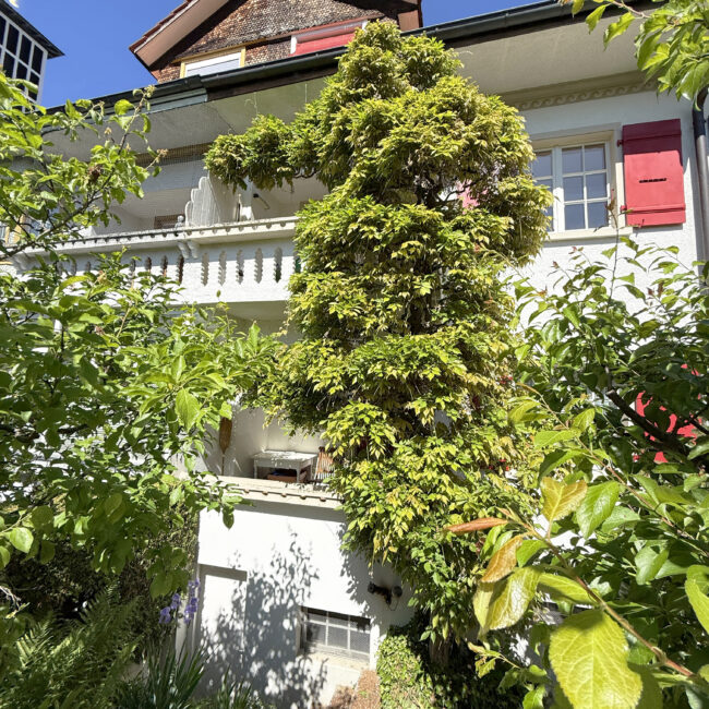 Aussen2