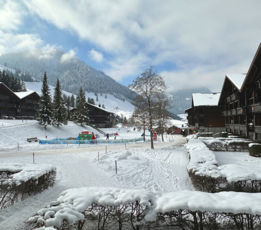 Aussicht1