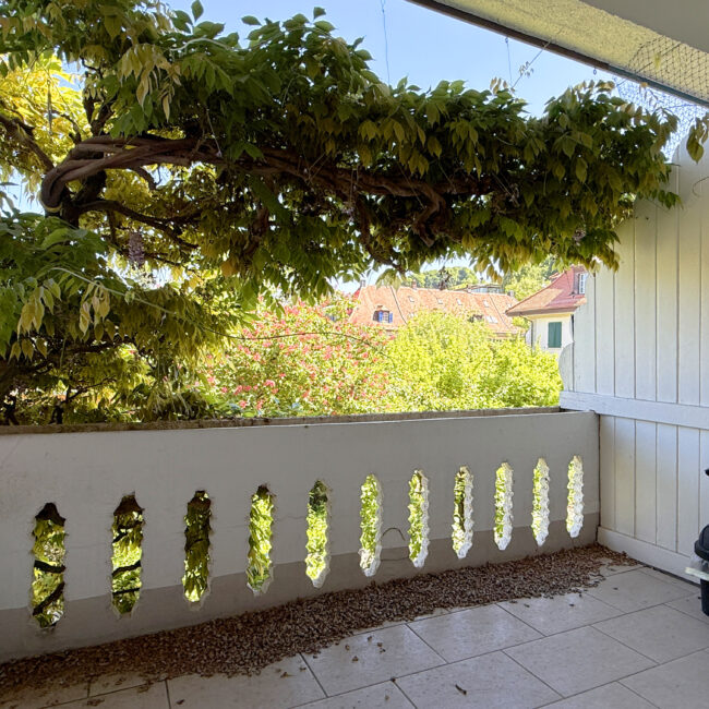 Balkon1