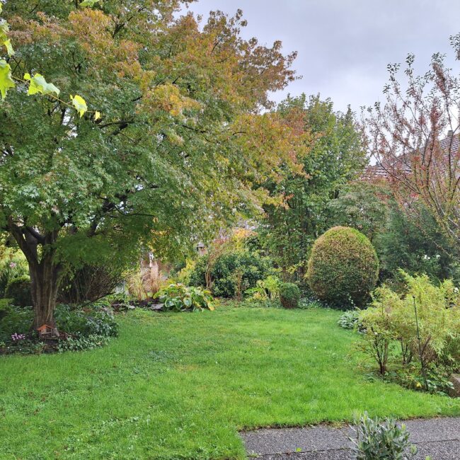 Bild Garten im Sommer