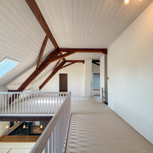 DG Gallerie 1