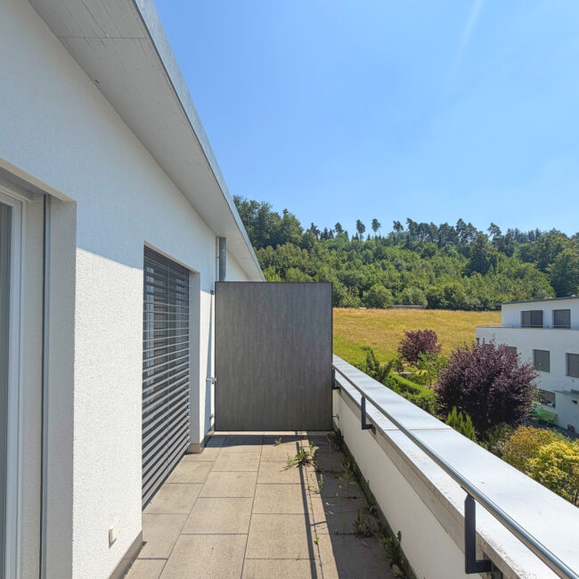Dachterrasse 1