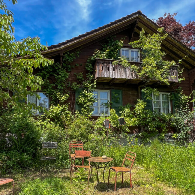 Eigentümerin Garten 7