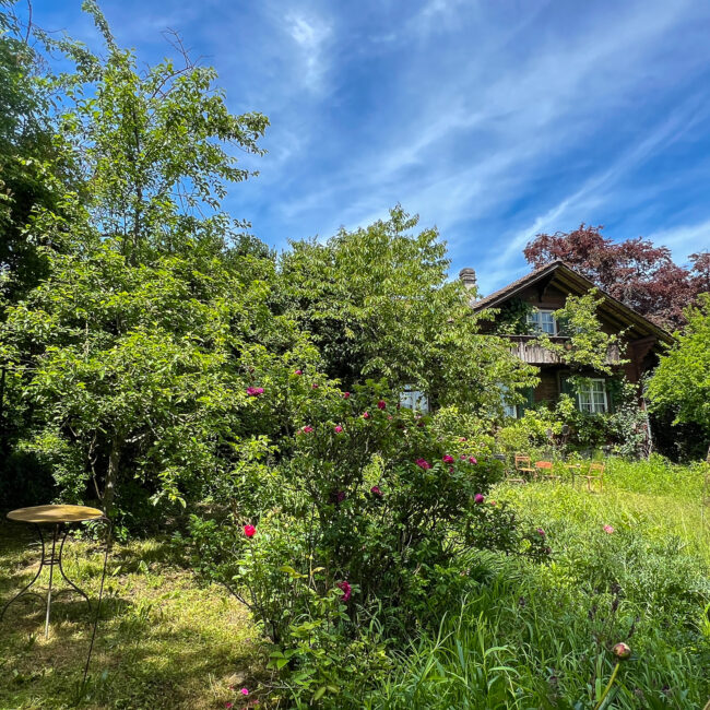 Eigentümerin Garten 9