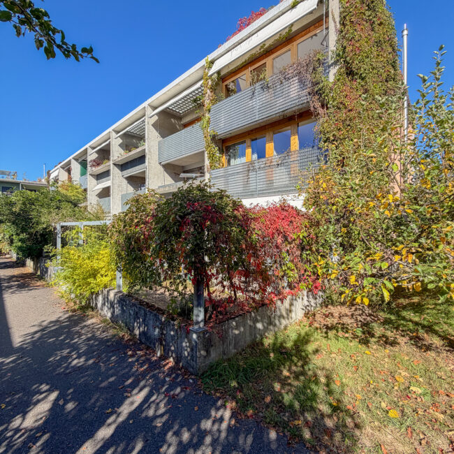 Garten 10