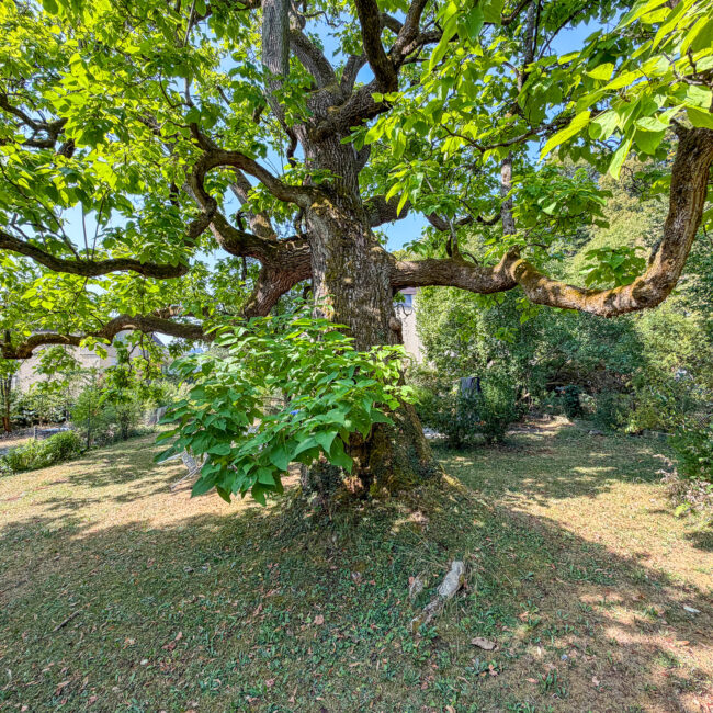Garten 10