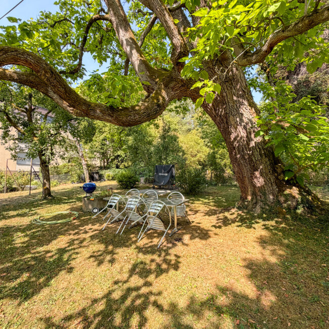 Garten 2