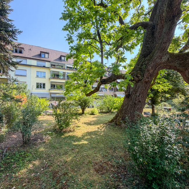Garten 6