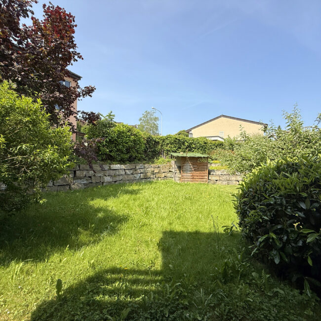 Garten1