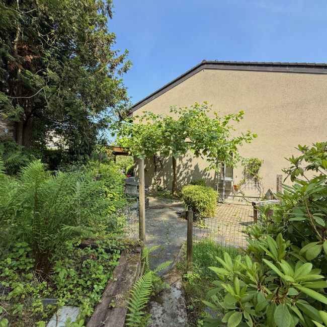 Garten6