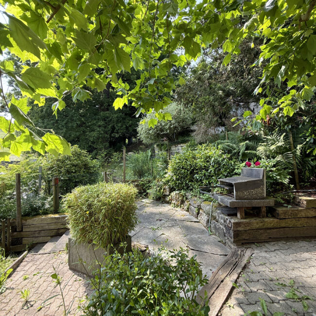 Garten8