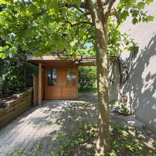 Garten9