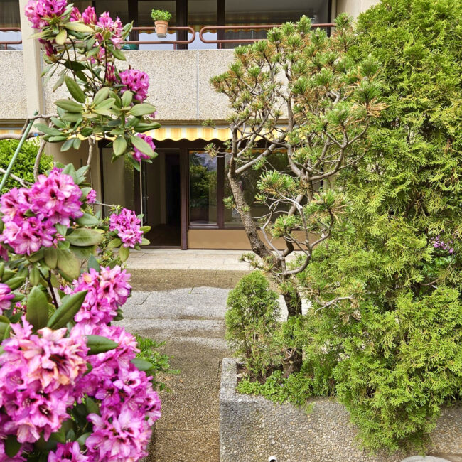 Terrasse Eigent 2