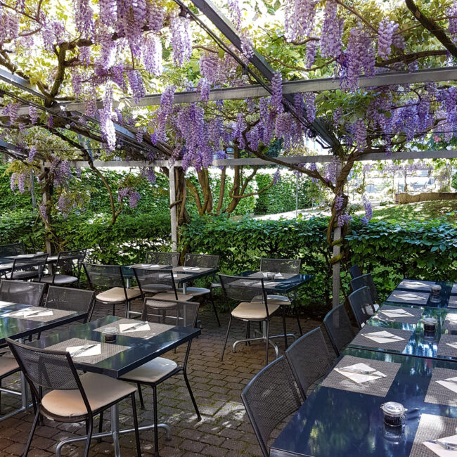 Terrasse Mai 2