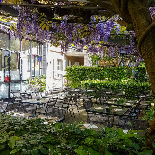 Terrasse Mai.4